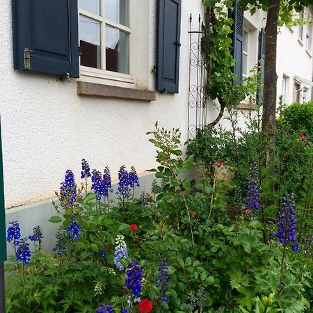 Seelig`S Weinsheim  Eksteriør billede