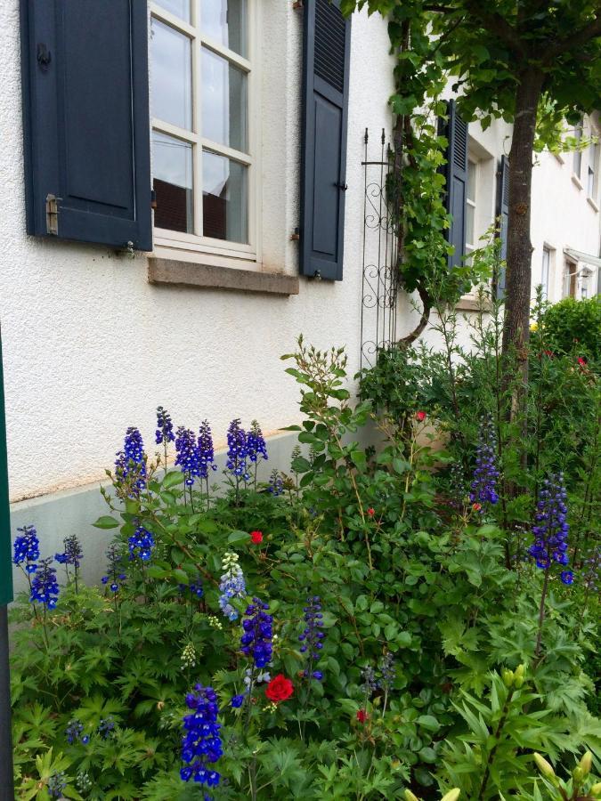 Seelig`S Weinsheim  Eksteriør billede